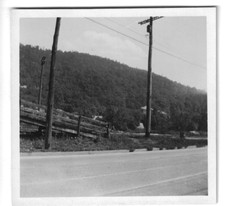 Vintage 1930s Photo Blue  Mountain Virginia On the Road Landscape Tree Travel picture