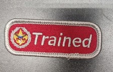 Commissioner Trained Silver strip Boy Scout- Non BSA picture