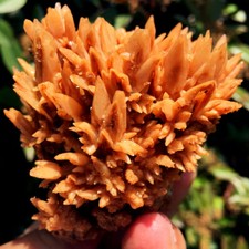 189g TOP New Find Raw Natural Brown Jiejingshi Crystal  Specimens ip1279 picture