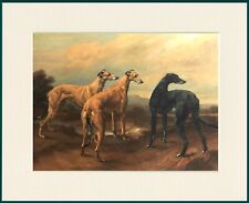 GREYHOUND GROUP OF THREE DOGS LOVELY DOG PRINT MOUNTED READY TO FRAME picture