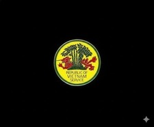 U.S. Military Vietnam Republic Of Vietnam Service Lapel Pin picture