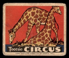 1933 R152 Tootsie Circus #16 The Giraffe PR picture