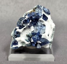 Benitoite On Matrix, Benitoite Gem Mine, San Benito Co., California #bno264 picture