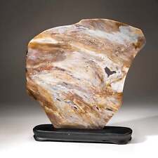 Polished Natural Agate Slice on Wooden Stand (7 lbs) picture