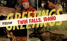 Idaho Twin Falls Greetings large letter multiview ~ 1950s-60s postcard sku965 picture