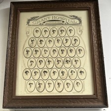 class of 1921 grant hospital nursing school photo 14x16 framed vintage antique  picture