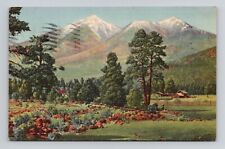 Postcard San Francisco Peaks in Flagstaff Arizona AZ, Vintage Linen L6 picture