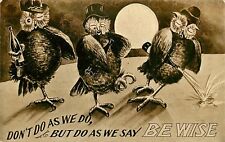 Drunk Owls Say Do As I Say Not as I Do Be Wise Postcard 1231 Theochrom picture
