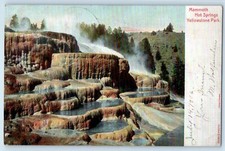 1906 Mammoth Hot Springs Yellowstone Park Wyoming WY Posted Antique Postcard picture