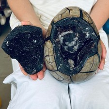 4.25LB Natural Dragon Septarian Geode Quartz Cluster Crystal egg Healing picture