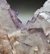 Gorgeous FLUORITE with Purple Edges *Tule Mine, Melchor Muzquiz, Mexico* picture