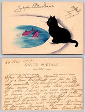 Black Cat Green Eyes Red Lips Pink Fish French Motto Je porte Bonheur Postcard picture