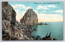 CA, Catalina Island, Avalon, Sugar Loaf, Shoreline, Vintage Postcard picture