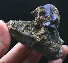 225g Rare Beauty Purple Cube Fluorite & pyrite Symbiosis Specimen/China picture