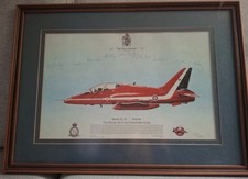 The Red Arrows 1991 Team Signed Framed Hawk T1A XX266 RAF Print picture