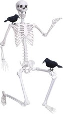 Wocst 6Ft Life-Size Posable Skeleton with Movable Joints, Full Body Halloween Sk picture