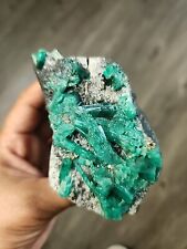 Colombian Emerald, Natural Rare Gem Crystal Mineral Specimen/ Collector Gems picture