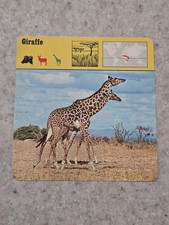1975 Editions Rencontre, Animals Card, Giraffe picture
