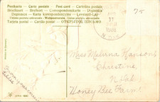 1908 Christine North Dakota Cancel Easter Chicks PFB Postcard Postal History picture