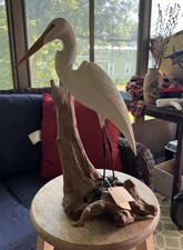Vintage Egret Wooden Sculpture On Driftwood Large, Signed By R Scheeley 1998 picture