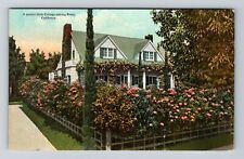 CA-California, A Quaint Little Cottage Among Roses, Vintage Postcard picture