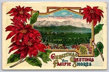 Antique California Postcard LOS ANGELES Christmas Orange Groves 1915 picture