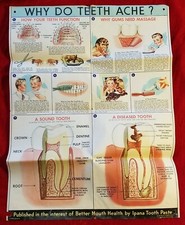1949 HYGIENE TOOTH ANATOMY POSTER Medical Science 40s VTG Illustration IPANA Ad picture