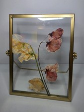 Gold Floating Frame Pressed Flower Art Botanical Glass Display picture
