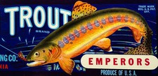 1940s Golden Trout Emperor Grapes Crate Label Cosart Exeter CA NOS picture