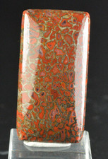Red Agatized Dinosaur Bone, Cabochon, Cab, Utah, 34.5 CT picture