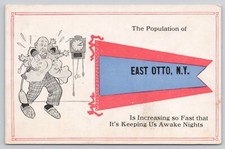 East Otto NY New York Population Pennant Flag Man & Crying Babies 1917 Postcard picture