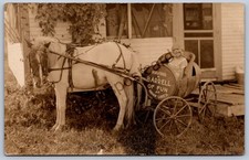 K54/ Indian Lake Ohio RPPC Postcard c1920 Pony-Drawn Wagon Kids 255 picture