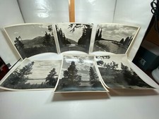 Vintage Lake Mountain Canoe Boat Flag Pine Fir Tree 1956 8x10 Photographs BW picture