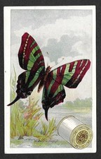 Victorian Trading Card - J&P Coat's - 