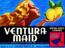 Ventura Maid Brand Lemon Montalvo Santa Barbara Citrus Fruit Crate Label 11x17 picture