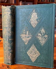 Antique Victorian Decorative Gilt Book 1864 First Edition Illustrated Kingston picture