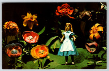 c1960s The Mickey Mouse Revue Alice in Wonderland Disney World Vintage Postcard picture
