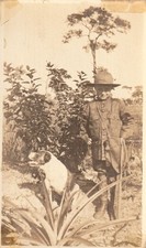 Antique Photo Boy Scout Dog Pineapple Field Uniform American Hibiscus Tropical picture