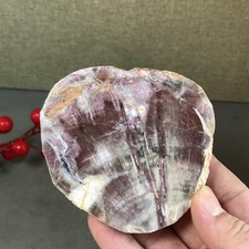 94mm natural Beautiful Petrified Wood Crystal Slice mineral specimen 259g A5431 picture