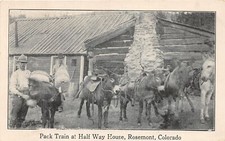 J23/ Rosemont Mules Colorado Postcard c1910 Cripple Creek S.L. Railroad 218 picture