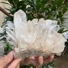 4.8LB A+Large Natural clear white Crystal Himalayan quartz cluster /mineralsls picture