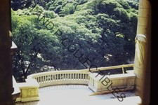 ORIGINAL 35mm Photo Slide Candid Vintage 007119 picture