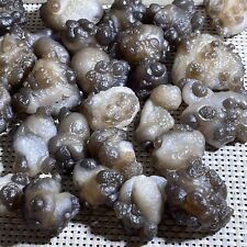 WHOLESALE Bonsai Suiseki-Natural Gobi Agate Eyes Stone-Rare Stunning Viewing picture
