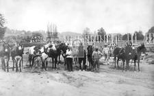 Building Construction Workers & Horses Barto Pennsylvania PA - 11x17 Reprint picture