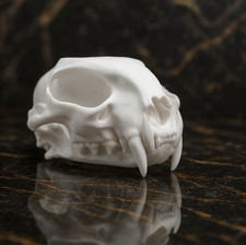 Premium Bobcat Skull Replica 1:1 Life-Size Anatomical Model Artisan Crafted picture