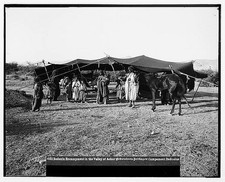 Photo:Jericho Jordan 1900s Bedouin Encampment Tent Camel Valley of Achor picture