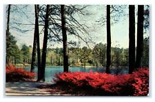 Postcard Azalea Gardens in Norfolk VA 1970's J11 picture