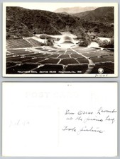 Hollywood Bowl RPPC Postcard 1948 Oscar Levant Piano Performance View picture