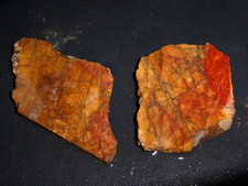 Cherry Creek Jasper 2 small pieces- rough for cabbing-display, science picture