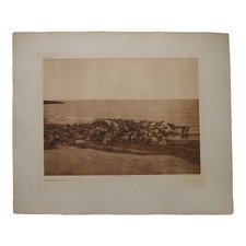 Edward S. Curtis Reindeer Nunivak 1930 Large Folio Photogravure Cardozo Alaska picture